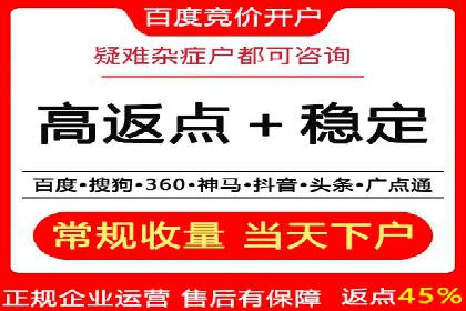 搜索引擎营销（SEM）的创意与执行——以多个行业成功案例为教学